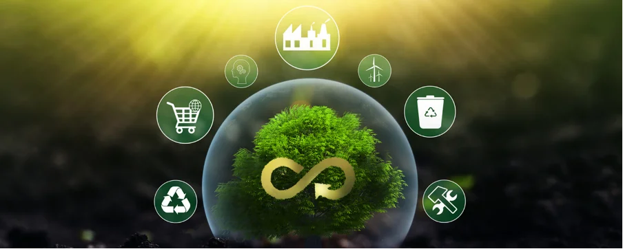 circular economy petrochemicals